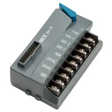 43554